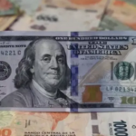 Dolar a 1800. El anuncio del vocero Presidencial