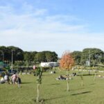 Inauguran el Bosque de la Poesía en Tafí Viejo